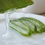 Se Puede Comer Aloe Vera